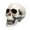 Multicolor, variant on Darzheoy Halloween Skull Model Realistic Fake Simulation Human Skull Head Model Halloween Prop Realistic Mini Skeleton Spooky Halloween Decoration