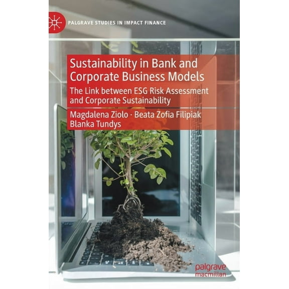 Palgrave Studies in Impact Finance Sustainability in Bank and Corporate Business Models: The Link Between Esg Risk Assessment and Corporate Sustainability, (Hardcover)