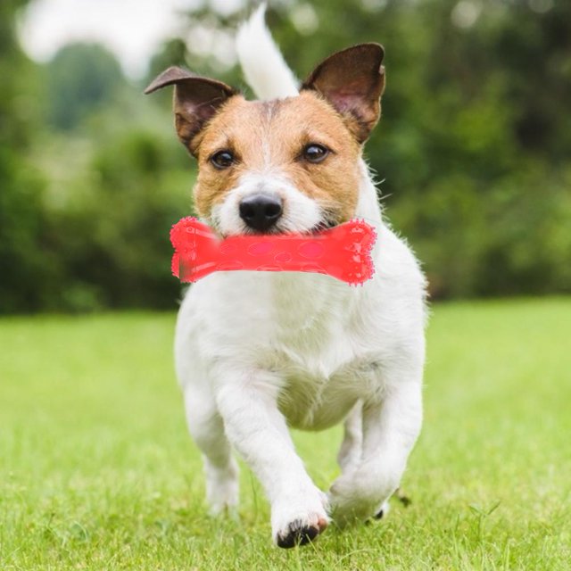 AMONIDA Pet Toy, Pet Dog Pet Chew Stick For Training For Entertaining