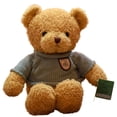 thumbnail image 3 of Osito de peluche que graba, muñeco parlante, muñeco de tela, lindo oso de abrazo, muñeco para niñas, 3 of 6