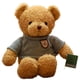 thumbnail image 5 of Osito de peluche que graba, muñeco parlante, muñeco de tela, lindo oso de abrazo, muñeco para niñas, 5 of 6