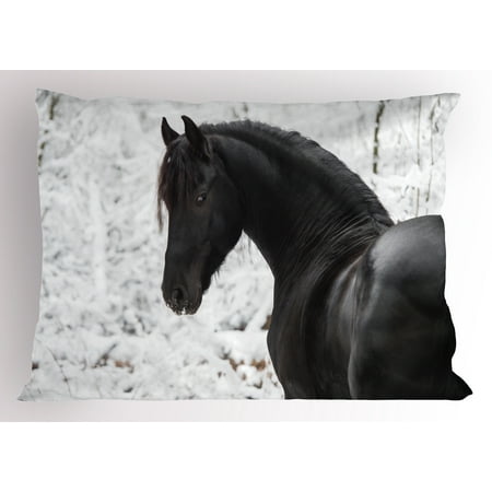 - Equestrian Pillow Sham Black Friesian Sport Horse Portrait on a Snowy Winter Background Novelty Picture, Decorative Standard Queen Size Printed Pillowcase, 30 X 20 Inches, White, by Ambesonne
