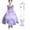 Dress with Accessories, variant on Girls Princess Costume Birthday Christmas Party Halloween Cosplay Fancy Dress Up Outfits w/Accessories