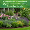 thumbnail image 6 of Down To Earth All Natural Fertilizers Prilled Garden Gypsum, 5 lb Box, 6 of 8