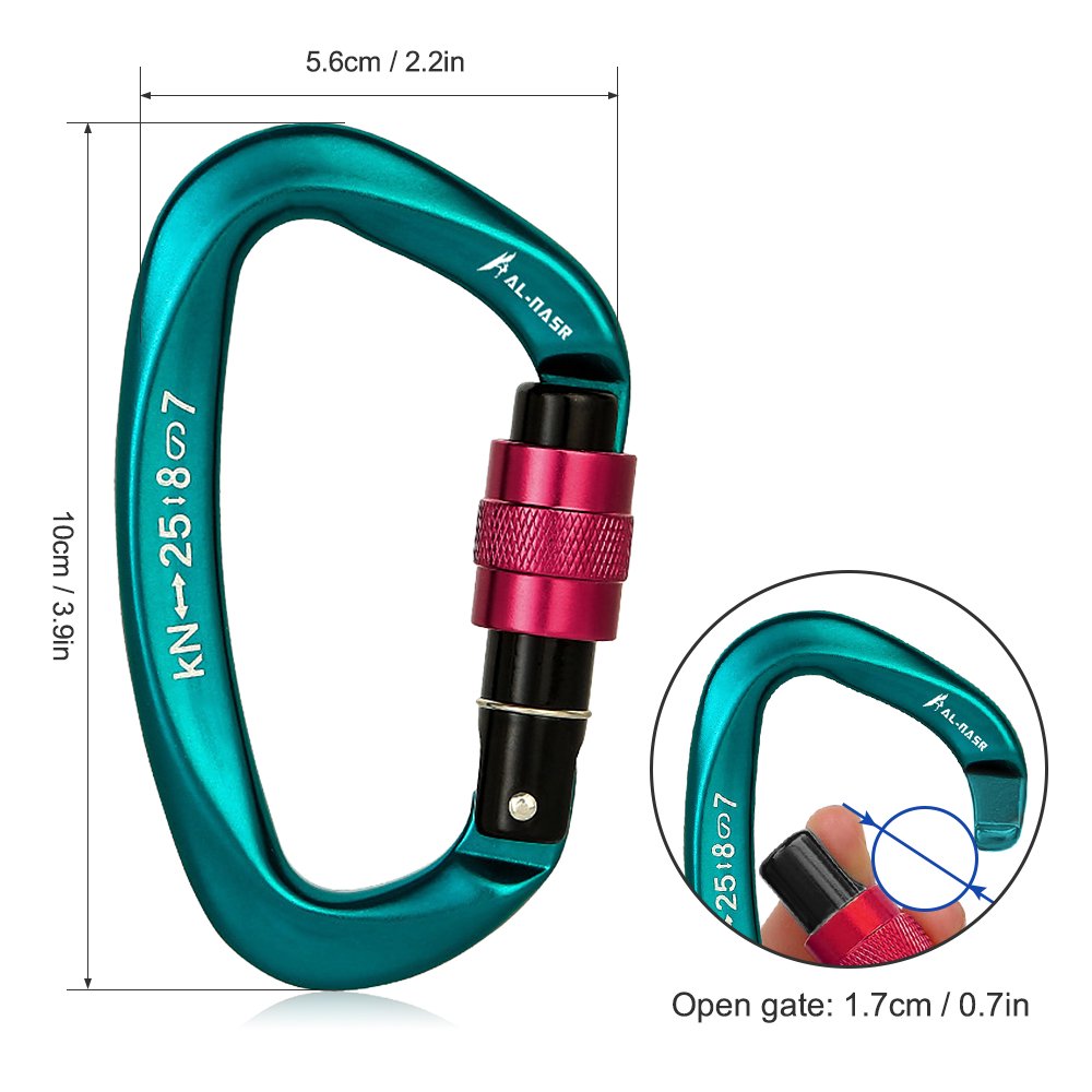 25KN Professional Climbing Carabiner Screw Locking Gate Carabiner Heavy