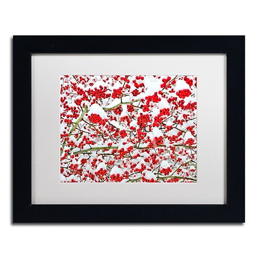 Trademark Fine Art "Winter Berries in the Snow" Canvas Art by Kurt Shaffer White Matte, Black Frame