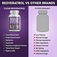 thumbnail image 2 of Clean Resveratrol Supplement | Berberine Grape Seed Extract Quercetin Green Tea Extract Acai Noni Polyphenol Supplement for Women & Men N-Acetyl Cysteine, 2 of 8