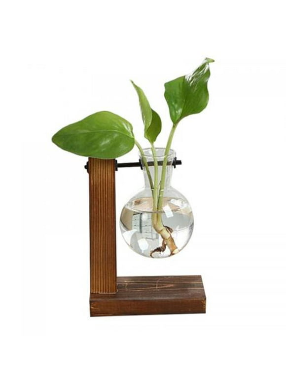 Terrarium Planters in Indoor Planters