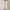 Beige, variant on Yuwull Women'S Dress Blazer Trendy Button Tunic Going Out Jacket Work Business Office Jacket