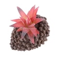 thumbnail image 2 of de Carnosa Aloe Artificial Plástico Decoración Patio Roja, 2 of 5