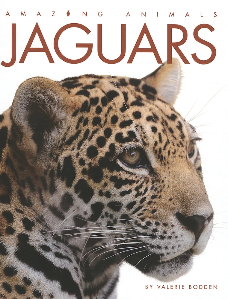 Amazing Animals (Creative Education Hardcover) Jaguars (Hardcover