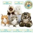 thumbnail image 2 of Gavin the Grey Tabby Cat | 13 Inch Stuffed Animal Plush | By TigerHart Toys, 2 of 5
