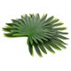 thumbnail image 2 of KAKOWELY piezas de plantas artificiales con hojas de palmera falsas para fiestas hawaianas con temática tropical., 2 of 4