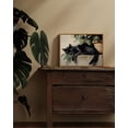 thumbnail image 2 of HFDF Vtage Canvas Wall Art, Sleepg Black Cat Wall Art for Livg Room Bedroom Office, Vtage Rustic Animal Art Prts for Bathroom Decor 16x12inch Framed, 2 of 6