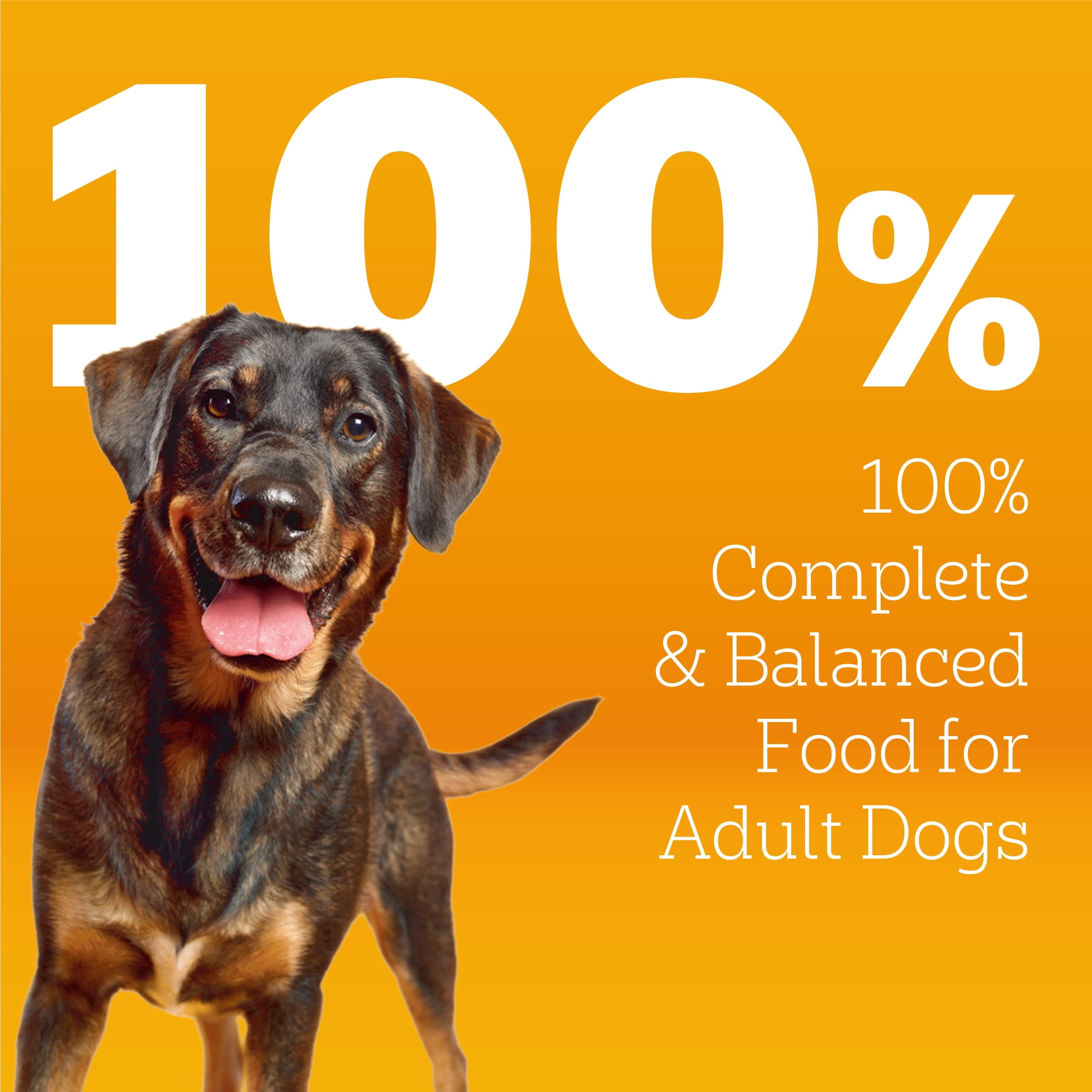 Pedigree High Protein Adult Dry Dog Food Beef and Lamb Flavor, 27 lb Bag