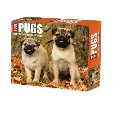 Willow Creek Press, Just Pugs 2026 Desk Calendar, 6.18'' X 5.43'', Daily Calendar with Adhesive Binding
