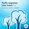 thumbnail image 5 of Puffs Plus Lotion with Vicks Facial Tissues, 4 Cubes, 48 Tissues per Box, 5 of 5
