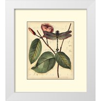 Vision Studio 20x22 White Modern Wood Framed Museum Art Print Titled - Petite Dragonflies IV