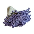 thumbnail image 1 of Kit de crochet de manta de flores, bricolaje para ramo elegante regalos kit de inicio de crochet juego de tejido de tejido para adultos iniciales Púrpura, 1 of 8
