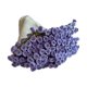 thumbnail image 1 of Kit de crochet de manta de flores, bricolaje para ramo elegante regalos kit de inicio de crochet juego de tejido de tejido para adultos iniciales Púrpura, 1 of 8