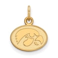 thumbnail image 1 of Solid 14k Yellow Gold Official University of Iowa Extra Small Tiny Pendant Charm - 15mm x 13mm, 1 of 3