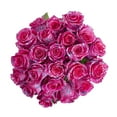 thumbnail image 4 of Painted Annet Confetti Roses - 50 cm - Roses - Fresh Cut Flowers- 100 Stems - by Bloomingmore, 4 of 7