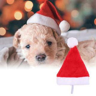 Spencer 2Pcs Pet Dog Cat Santa Hat & Red Scarf Set Christmas