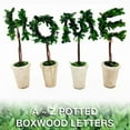 thumbnail image 4 of Modern Home 13" Real Preserved Boxwood Monogram Letters w/Terra Cotta Pot - D, 4 of 6