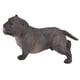 thumbnail image 2 of Modelo de simulación de bulldog, decoración educativa, modelo de perro, figura de colección, juguete PL127-673, 2 of 14