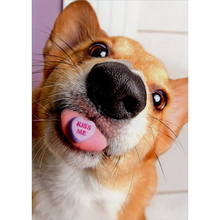Avanti Press Dog With Candy Heart On Tongue Valentines Day Card