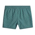 thumbnail image 2 of G-Star Shorts de Bain Carniques pour Hommes, 2 of 2