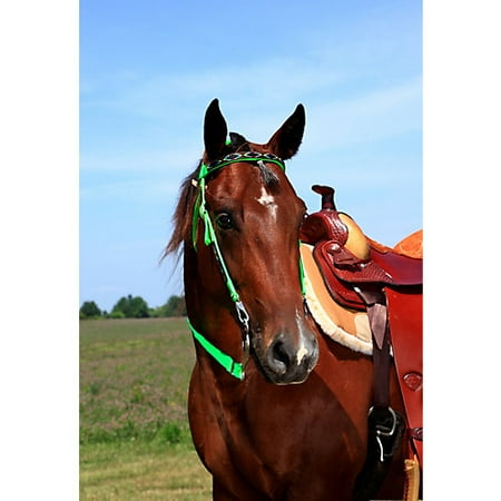 Trail Bridle - Triple E Nylon Southwest Trail Bridle Neon Pink