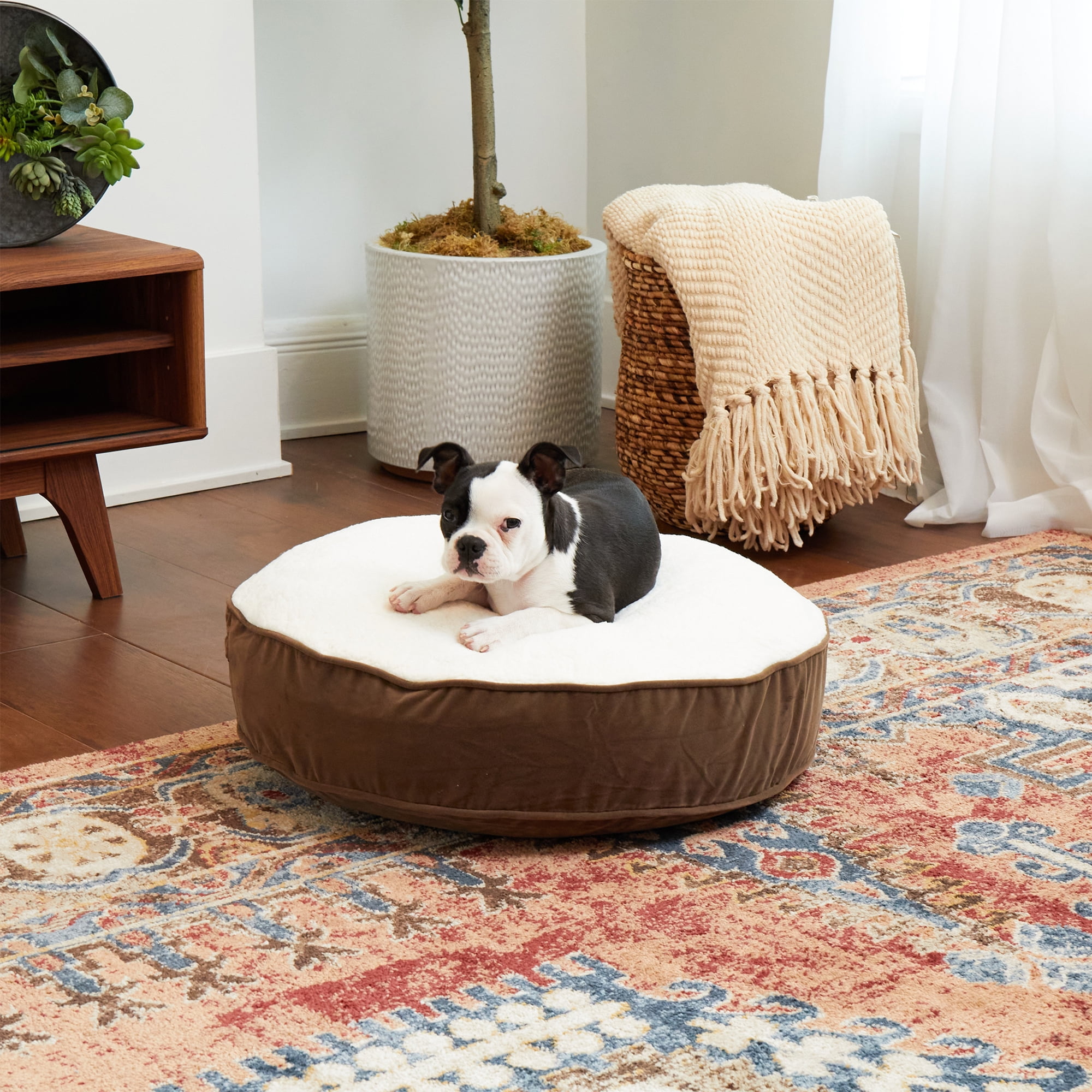 Happy Hounds Scout Sherpa Round Pillow Dog Bed, Latte, Extra Small (24 x 24 in.)