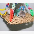 thumbnail image 2 of Parrot Climbing Net Parakeet Climbing Rope Climbing Net Toy Hemp Rope Nets Bird Cotton Rope Bird Perches for Parrots, Birds, Hamsters, 2 of 5