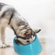 thumbnail image 4 of Cuenco inclinable, suministros para perros y gatos, cuenco de comida, cuenco de acero inoxidable, cuenco para perros, cuenco para gatos, cuenco de arroz, 4 of 5