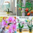 thumbnail image 6 of 120Pcs Plant Supports Set - 40 Pack Flower Plant Stakes Sticks (3 Sizes), 40 Plant Support Clips and 40 Orchid Clips, 6 of 7