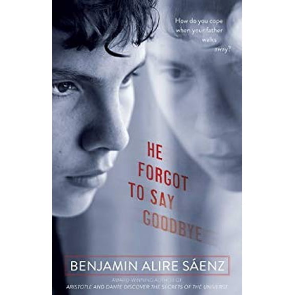 Pre-Owned He Forgot to Say Goodbye (Paperback) 1416994343 9781416994343
