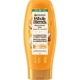 thumbnail image 1 of Garnier Whole Blends Conditioner with Moroccan Argan & Camellia Oils, 1 of 3
