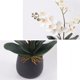 thumbnail image 3 of Mariposa orquídea simulación flor bonsái creativo arreglo Floral decoraciones de escritorio sala de estar TV gabinete muebles, 3 of 5