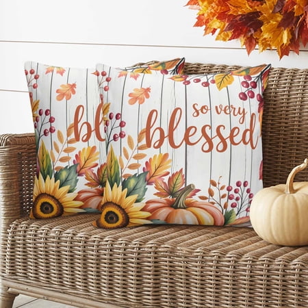 Fall Thanksgiving Pillow Covers 2 Pack Autumn Harvest Pumpkin Jam Wood Grain Pillowcase Waterproof Outdoor Throw Pillow Cover for Patio Garden Balcony Decorative Square Cushion 26 x26