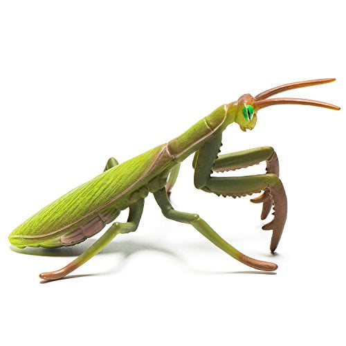 mantis toy