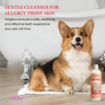 thumbnail image 3 of PetGlow Pure & Natural Wild Herbs Shampoo for Dogs & Cats,  Reduces Itching & Odor Coat Shield with Aritha, Tulsi, Amla & Soap Nut, Has No Parabens, Sulphates, Synthetic Colors, 8 fl oz., 3 of 11
