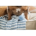 thumbnail image 3 of Pelotas de goma y palitos masticables de goma Harry Barker de juguete para perros, paquete de 6, 3 of 4