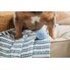 thumbnail image 3 of Pelotas de goma y palitos masticables de goma Harry Barker de juguete para perros, paquete de 6, 3 of 4