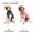 Grey-premium version, variant on Dog Anxiety Vest, Soft Breathable Dog Anxiety Relief Jacket Calming Coat Thunder Dog Wrap for Anxiety Stress Relief Dog Anxiety Jacket Skin-Friendly Dog Anti Anxiety Calming Shirt for Thunder