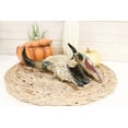 thumbnail image 7 of Western Turquoise And Red Teardrop Gems Mosaic Steer Cow Skull Decorative Box, 7 of 7