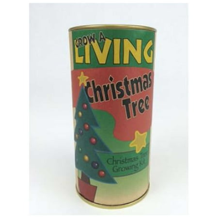 Grow Dogwood Tree Flowering Dogwood Tree Growing Kit - Grow Flowering Dog Wood Trees from Seed To Saplings - Kit Includes Seeds, Instructions, More. ()