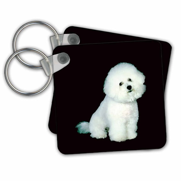 3dRose, Bichon Frise, set of 2 Key Chains