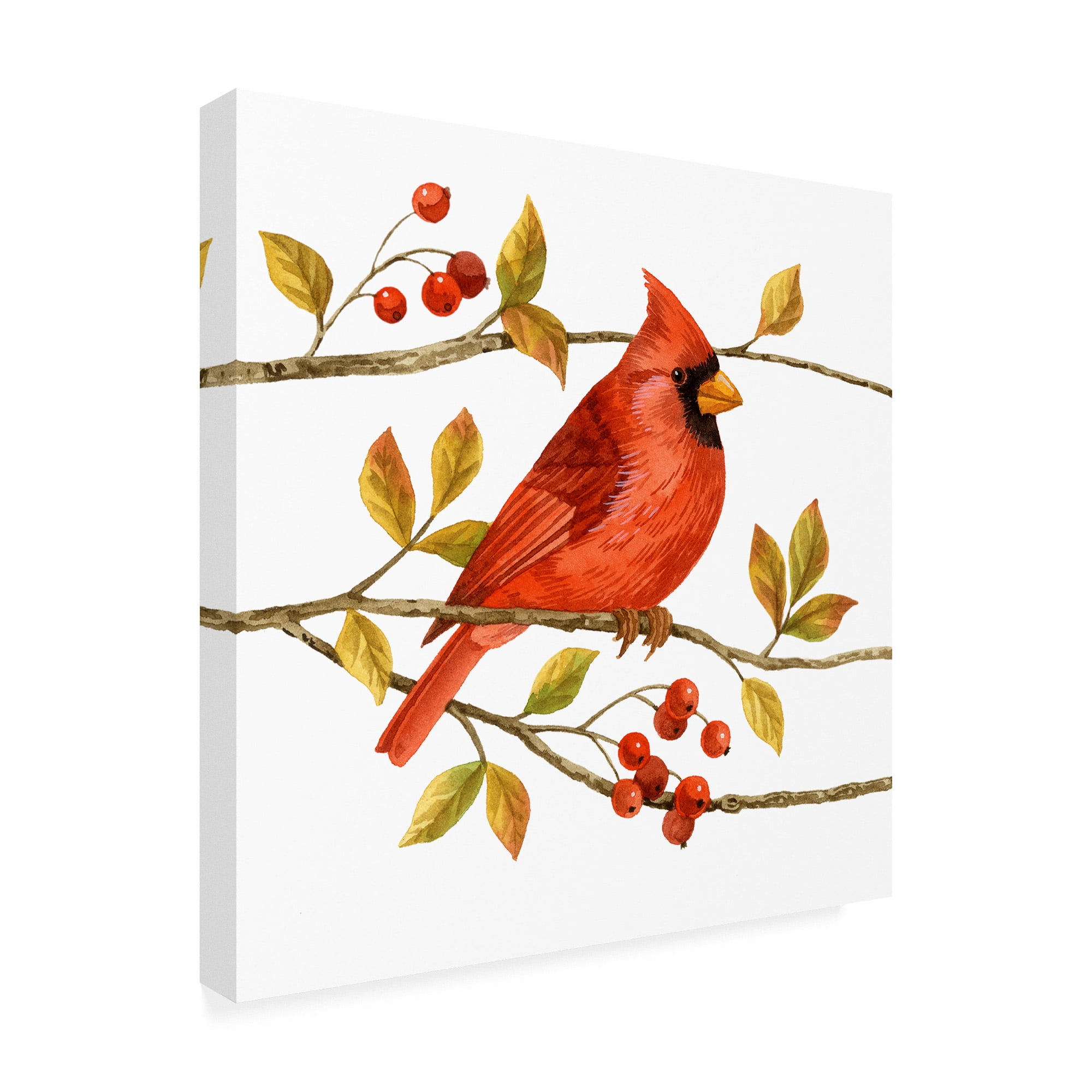 Trademark Fine Art 'Birds And Berries III' Canvas Art by Jane Maday