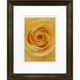 thumbnail image 1 of Timeless Frames 55299 8 x 10 in. Rose in Bloom Photo Frame, 1 of 1